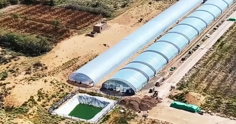 Çölü bereketli toprağa dönüştürüyor: 10 ayda verim alıyorlar