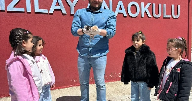 Anaokulunun misafiri Fındık 6 yavru dünyaya getirdi Van da anne kedi doğum için anaokulunu seçti Van Haberleri