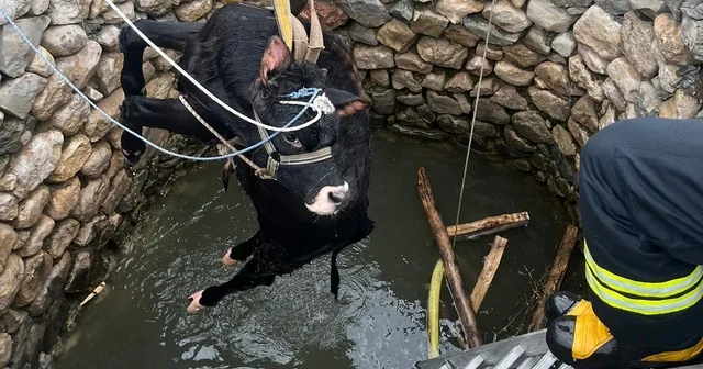 Su kuyusuna düşen inek itfaiye ekiplerince kurtarıldı Diyarbakır Haberleri