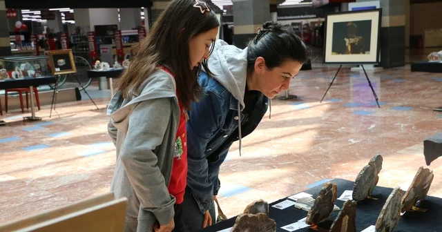 İl İl Türkiye Sergisi Diyarbakır da sanatseverlerle buluştu Diyarbakır Haberleri