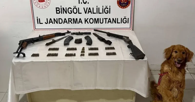 Bingöl’de silah ve mühimmat ele geçirildi