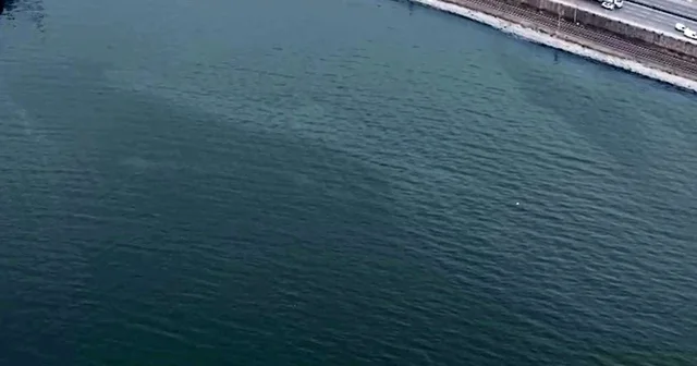 İzmir Körfezi nde kirlilik alarmı: Aynı tehdit 11. kez görüldü İzmir Haberleri