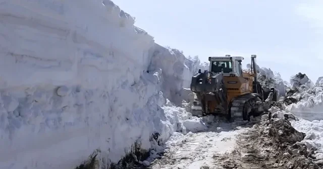 Nisan ayında kar mesaisi: Muş ve Bitlis’te ekipler seferber oldu VİDEO İZLE