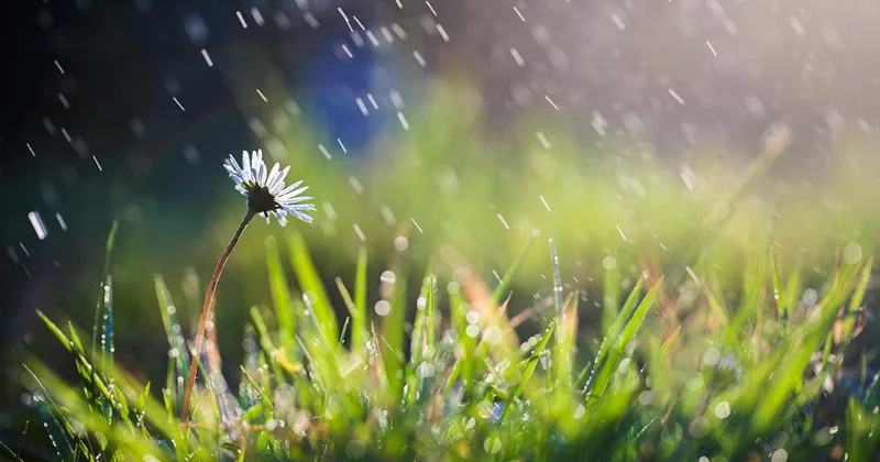 Son yağışlar tabloyu değiştirmedi: Kuraklık sürüyor