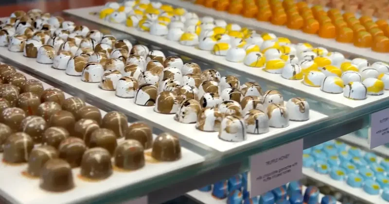 12 yıllık ünlü çikolata markasından kötü haber: İflas etti!