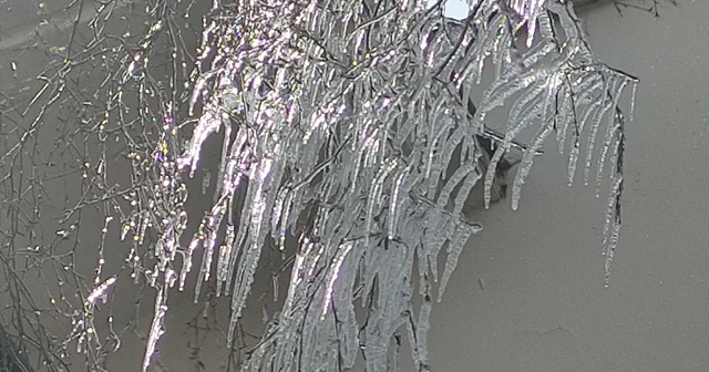 Hava sıcaklığı eksi 10 a düştü, ağaç dalları dondu Ağaçlardaki kristalize güzellik görenleri mest etti Ardahan Haberleri