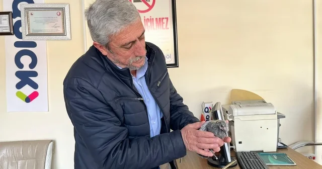 Bünyan da çatıdan düşen kuş, yuvasına kavuşturuldu Kayseri Haberleri