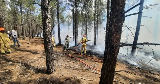 Mersin de orman yangınlarına karşı tatbikat yapıldı Mersin Haberleri