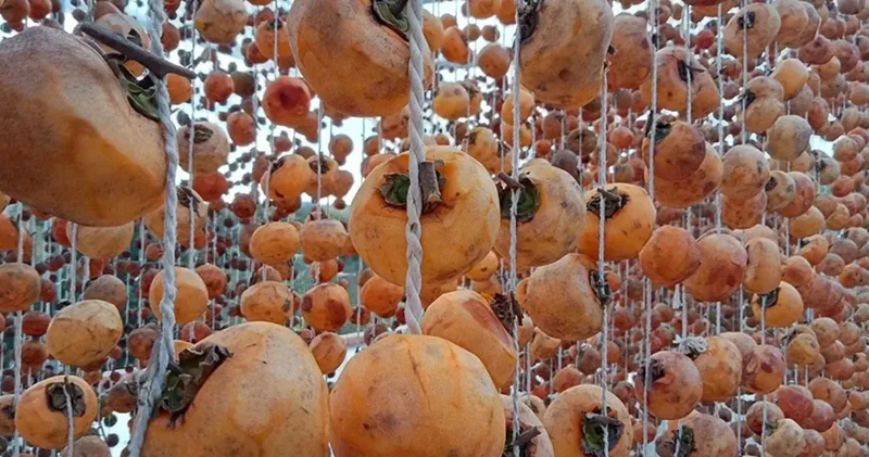 Türkiye’nin formülü komşuda tuttu: Raf ömrü uza uza bitmiyor