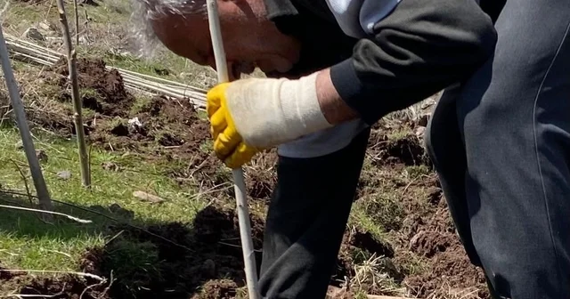 Ağrı da vatandaşlar imece usulü fidan dikerek geleceğe nefes oluyor Ağrı Haberleri