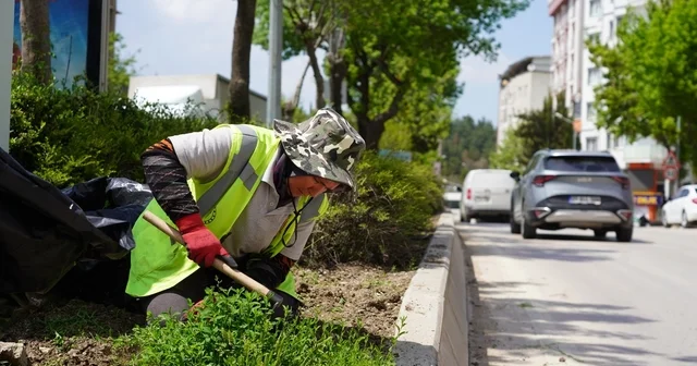 Bilecik te park ve bahçeler müdürlüğünden yaza hazırlık çalışmaları Bilecik Haberleri