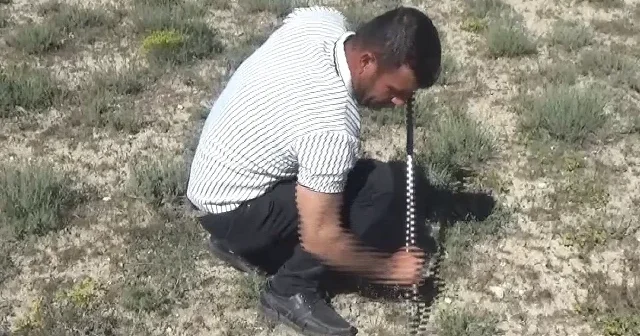 Konya da dolaman bereketi: Günde 60 bin liralık mantar buluyor VİDEO İZLE
