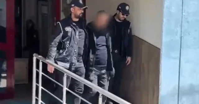 Durdurulan kamyondan 10 kaçak göçmen çıktı, sürücü tutuklandı Bolu Haberleri