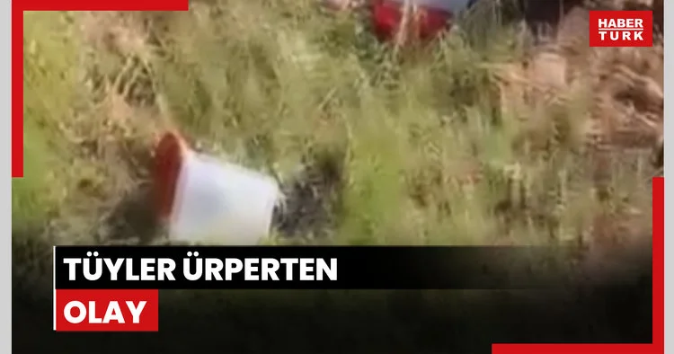 Tüyleri ürperten olay