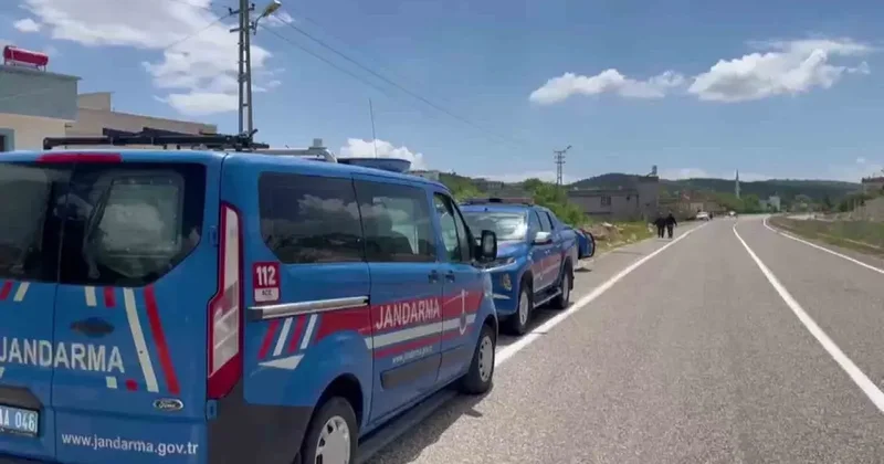 Husumetli yaşlılar arasındaki kavga ölümle bitti