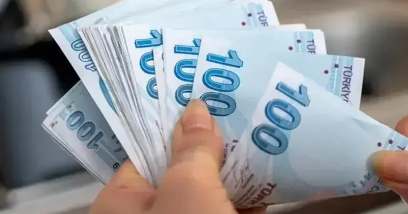 Arabanızı sakın böyle satmayın! Belge şartına uymayan yandı
