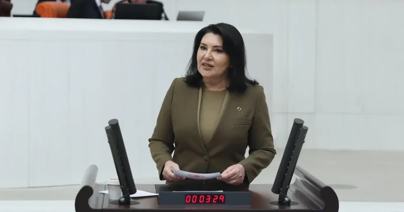 AK Partili Karamık tan finansal okuryazarlık için için dikkat çeken mesaj