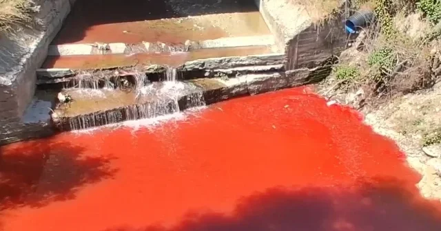 Samsun da çevre katliamı: İşletmenin yağmur hattına attığı kimyasallar dereyi kızıla boyadı VİDEO İZLE