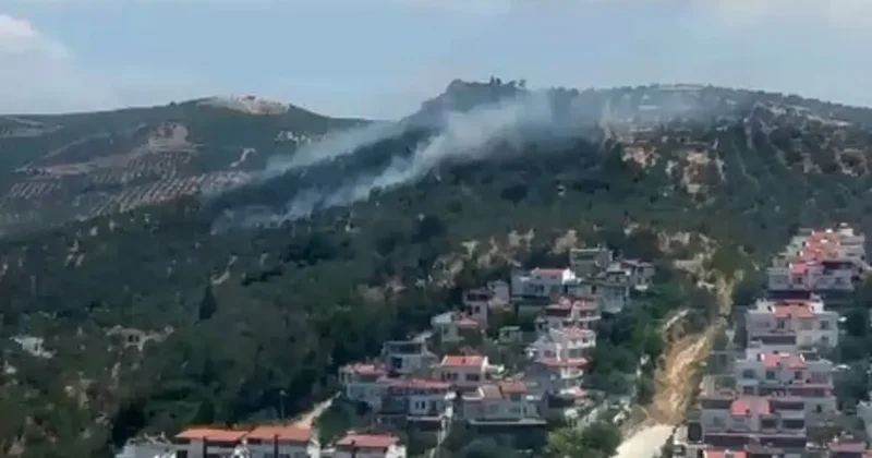 Burhaniye’deki zeytinlik yangını kontrol altına alındı