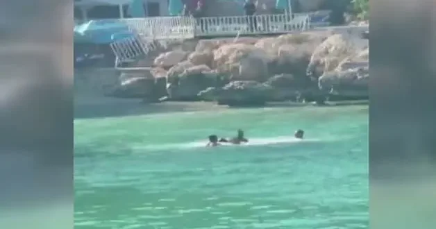 Mersin de denizin ortasında sopalı kavga: O anlar kamerada