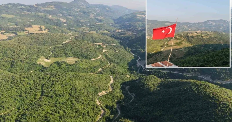 Yangının izleri silindi: Orman 6 yılda eski görünümüne kavuştu Adana Haberleri