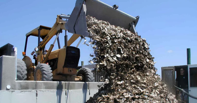 Tonlarcasını 6 ay boyunca güneşte bekletiyorlar: Her biri günde 190 litre su temizliyor Sözcü Gazetesi