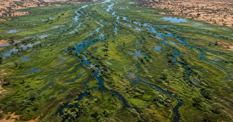 Dünyanın ezber bozan nehri: Denize ulaşamadan çölde kayboluyor Sözcü Gazetesi