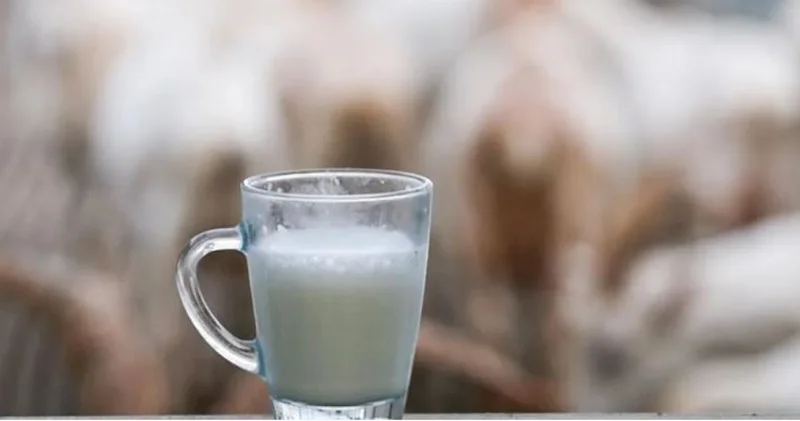 USK çiğ sütün fiyatını sabit bıraktı