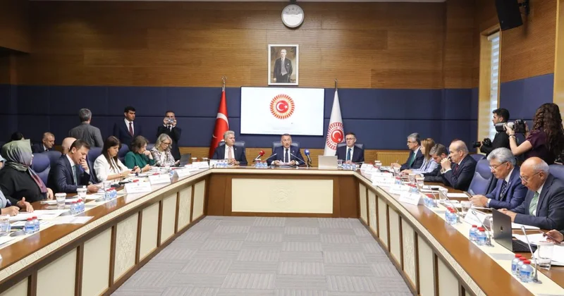 Fuat Oktay: AP nin TSK ya yönelik kararı yok hükmündedir