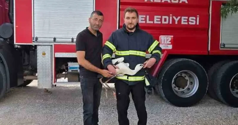 Yuvasında mahsur kalan leyleği itfaiye kurtardı