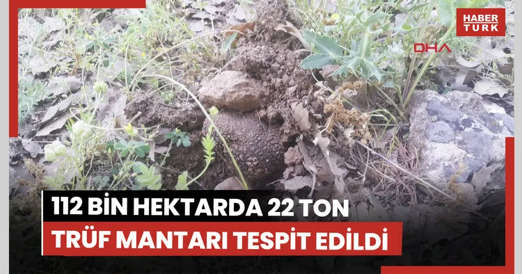112 bin hektar tarandı, yer altında 22 ton trüf mantarı tespit edildi