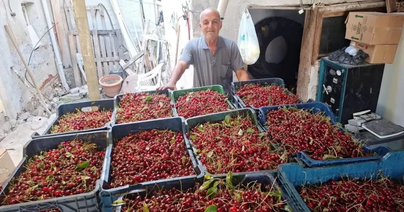 Kilosu 40 TL, işçi yevmiyesini bile karşılamıyor!