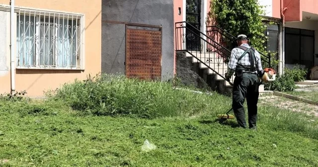 Söğüt te çim biçme ve ilaçlama çalışmaları aralıksız devam ediyor Bilecik Haberleri Habertürk Yerel Haberler