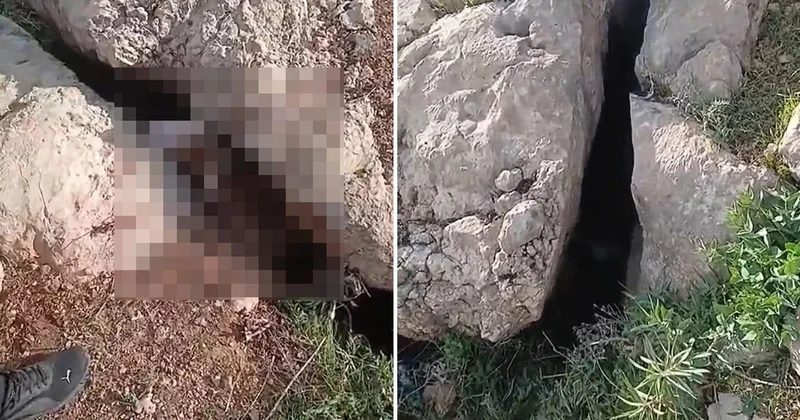 Altın ararken karşılaştıkları manzara karşısında donup kaldılar