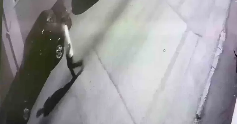 Elini öptüğü yaşlı adamın 2 milyon liralık altınını çalan dolandırıcı başka bir vurgunun parasıyla yakalandı