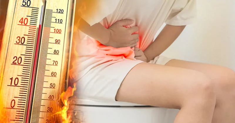 Yaz ayında korkutan salgın! Uzman isim kaynağını açıkladı
