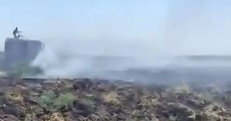 Mardin’deki anız yangını kontrol altına alındı