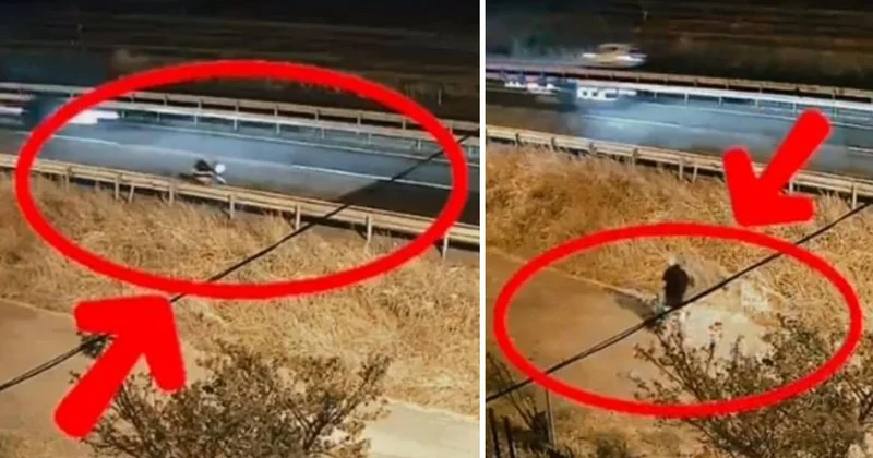 Aküsü bitince durağın arkasına bırakıp gitti: Haftalar sonra döndüğünde hayatının şokunu yaşadı