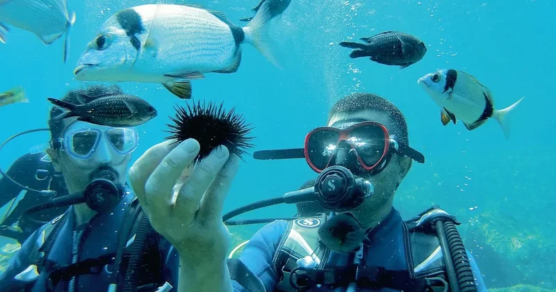 Ege ve Akdeniz’e mavi kalkan
