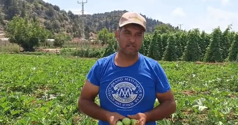 Mersin de üreticiler isyan etti: Tarlada 15 38 TL, markette 90 138 TL Sözcü Gazetesi