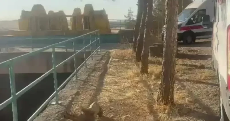 Suda hareketsiz halde fark edildi: Ekipler alarma geçti
