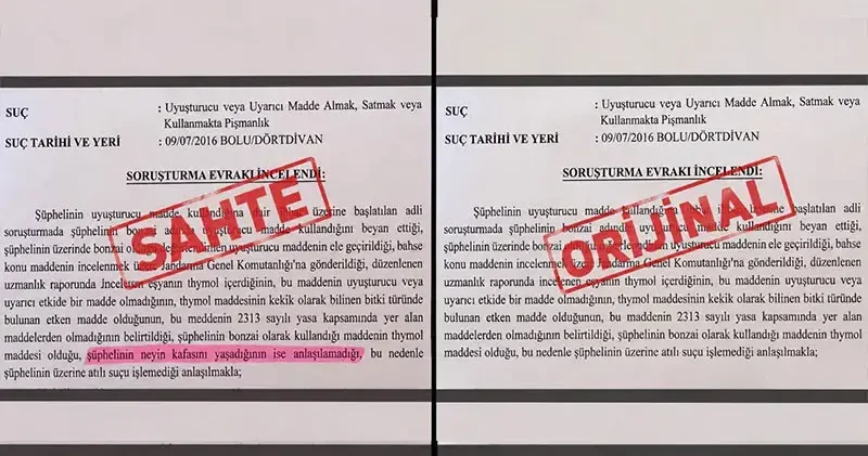 ‘Neyin kafasını yaşadığı anlaşılamadı’ ifadeli savcılık kararı iddiasına soruşturma
