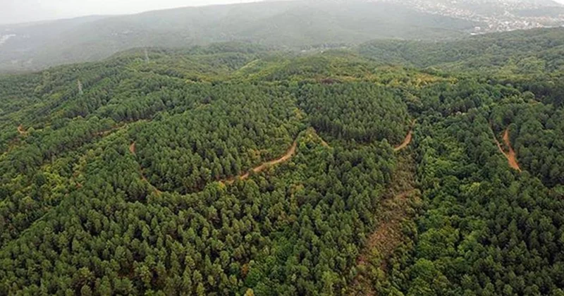 Türkiye’de 27 ili ilgilendiren yeni karar: İşte İstanbul ve Ankara nın da dahil olduğu liste Sözcü Gazetesi