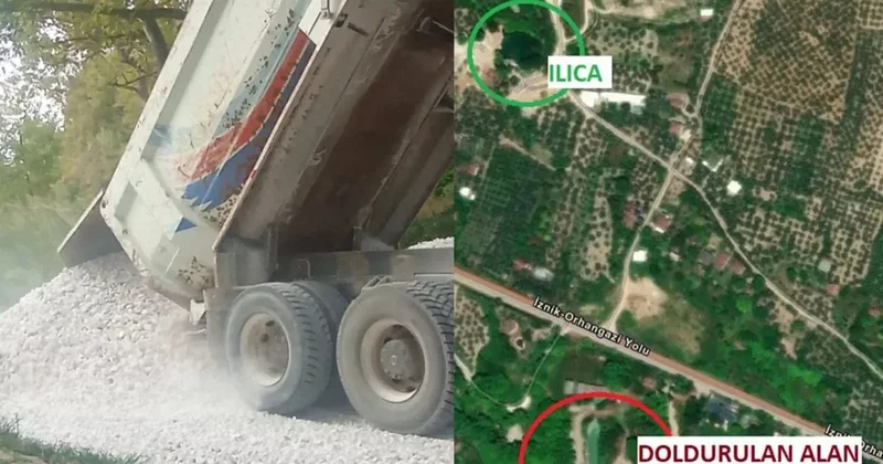 Sulak alanlara mıcır döküldü: Orhangazi de doğa katliamı tartışması