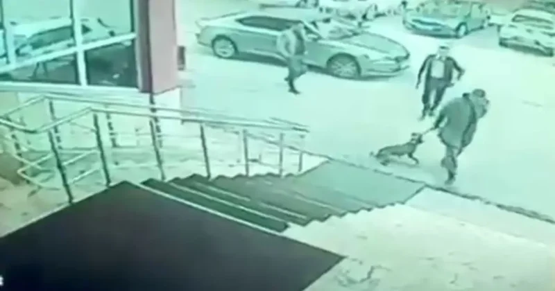 Erzurum Palandöken Kaymakamı ve korumasına soruşturma açıldı