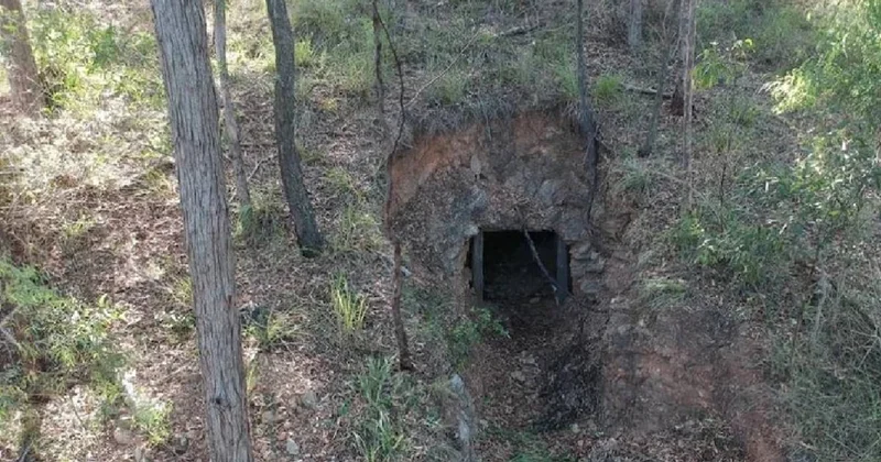 Satın aldığı arazinin altında altın madeni çıktı: Yaptığı şey herkesi şaşırttı Sözcü Gazetesi