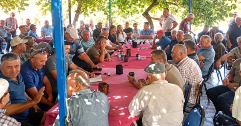 Üreticiler karar aldı, ürünler dalda kaldı: 10 gün boyunca toplanmayacak Sözcü Gazetesi