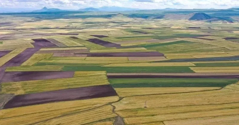 Tapu sahipleri için yeni karar verildi: Kiralama dönemi resmen başladı Sözcü Gazetesi