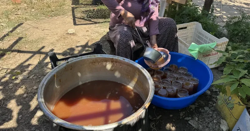 Çuvallarla toplanıyor, 11 saatlik işlemden geçiyor: Kilosu 500 lira