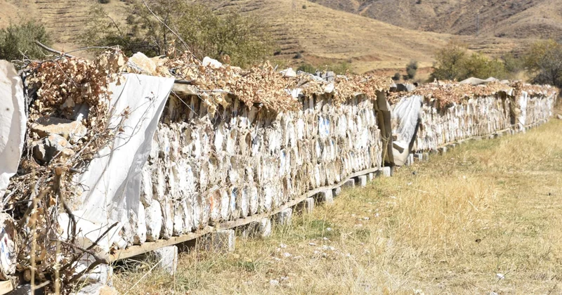 Etrafı çamurla sıvanan kovanlarda hasat başladı: Kilosu 3 bin 500 lira Sözcü Gazetesi